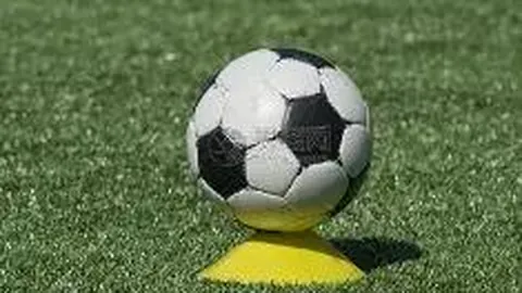 开云体育app评价 资讯 094516 ljo