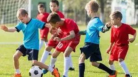 开云体育app评价 产品 094156 imz