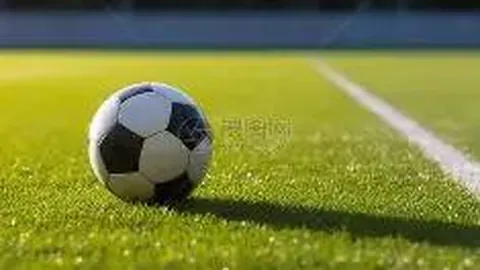 眉山东坡马拉松开跑 1.7万名选手体验“东坡文化”之旅