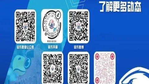 开云体育评价 130256