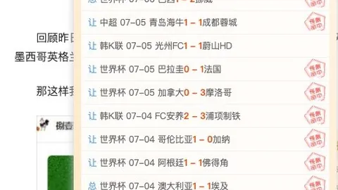 开云体育评价 140616 74
